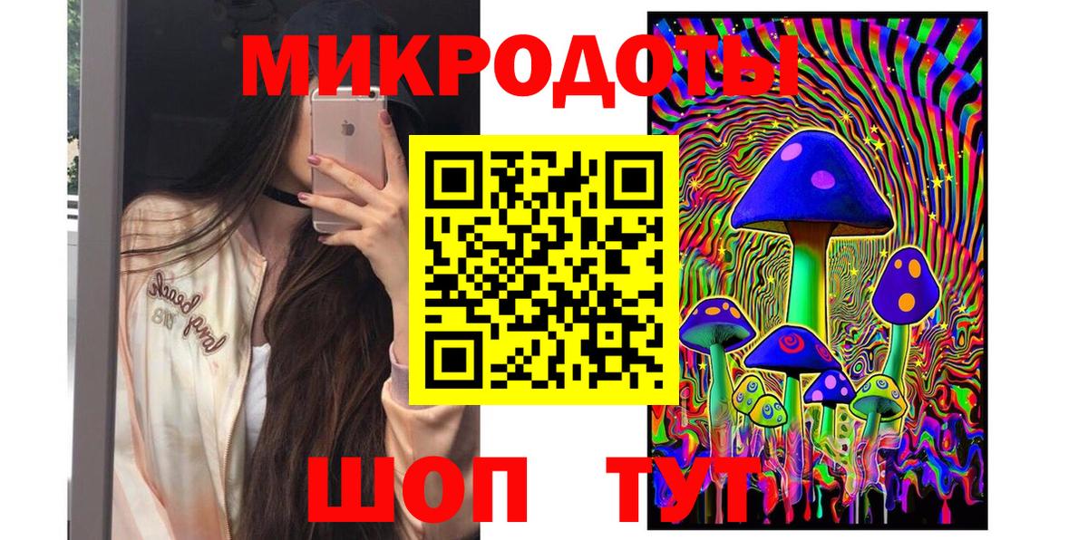 Галлюциногенные грибы Psilocybe Партизанск