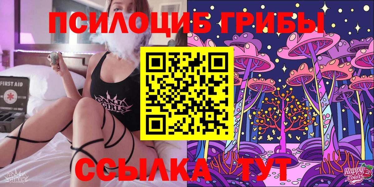 Псилоцибиновые грибы Psilocybe  Вход с VPN  Партизанск 